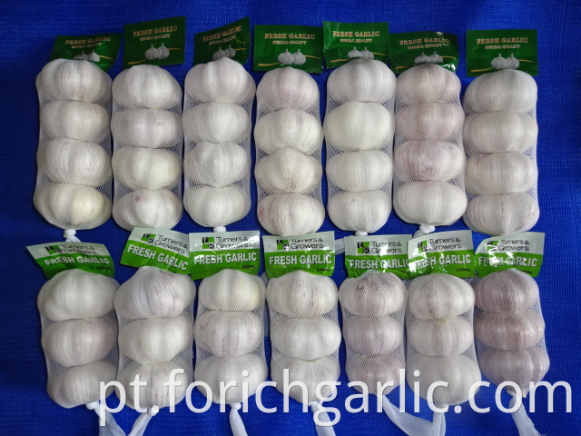 Normal White Garlic